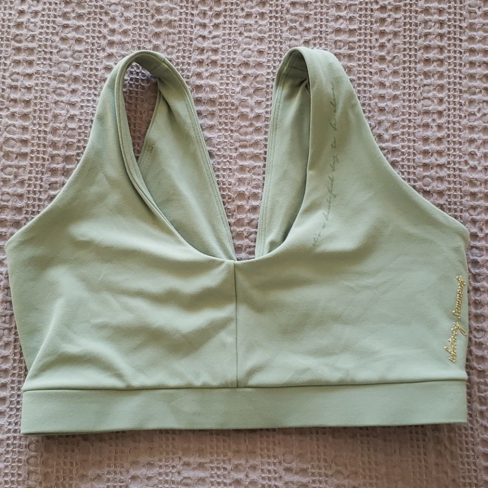 Gymshark x Whitney Simmons V2 Sports Bra